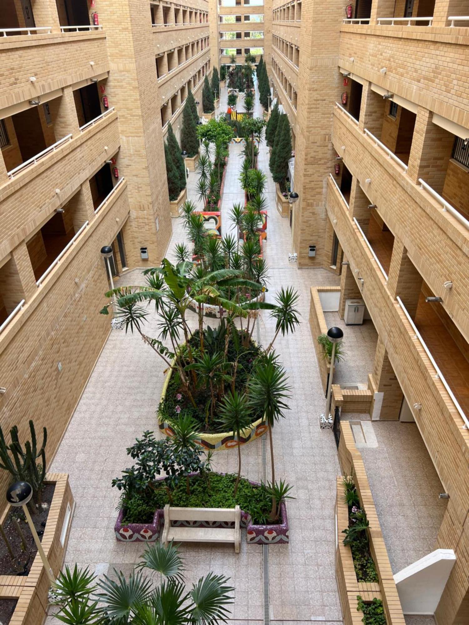 Apartamento Oropesa Marinador Oropesa del Mar Exterior foto